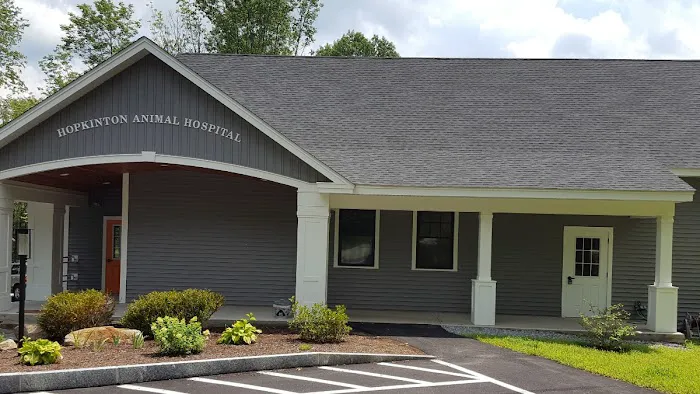 Hopkinton Animal Hospital Picture 5