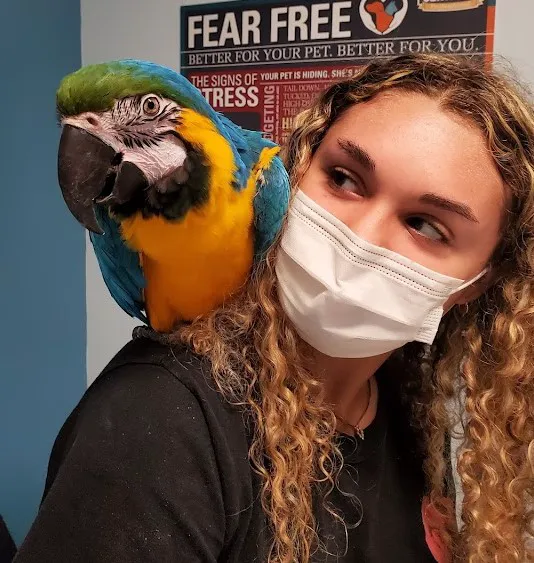 Weare Animal Hospital Picture 6
