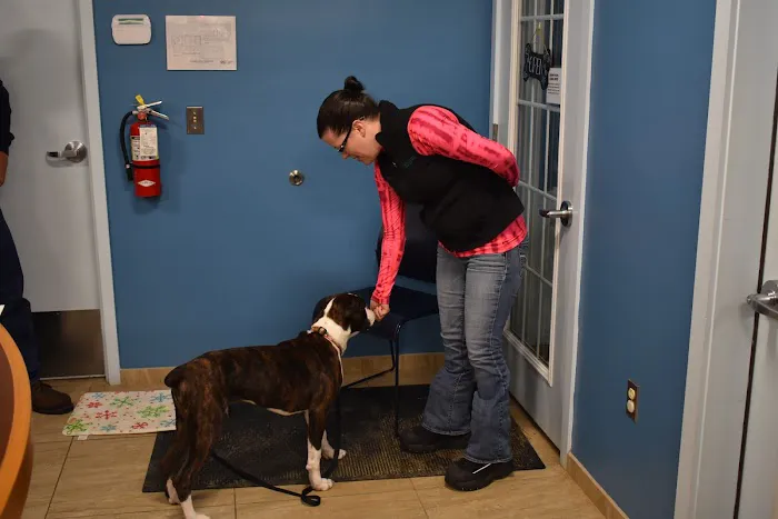 Weare Animal Hospital Picture 7