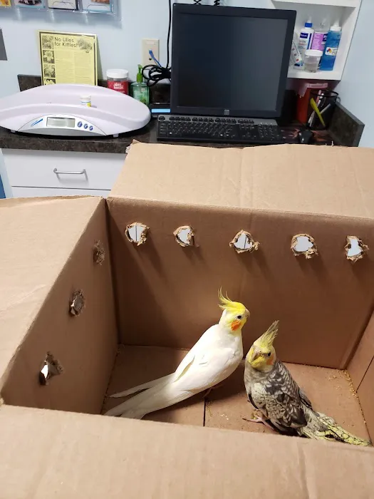 Exotic & Bird Clinic of New England Picture 6