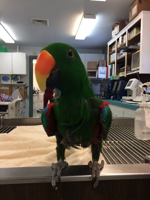 Exotic & Bird Clinic of New England Picture 3