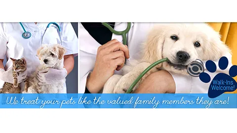 Great Brook Veterinary Clinic Picture 3
