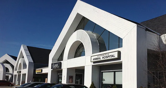 Fisherville Animal Hospital Picture 8