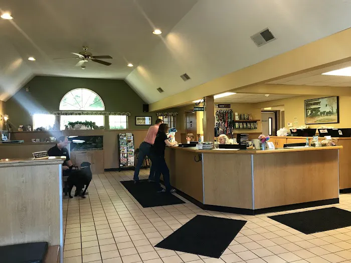 VCA Russell Animal Hospital Picture 5