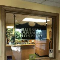 VCA Russell Animal Hospital ico