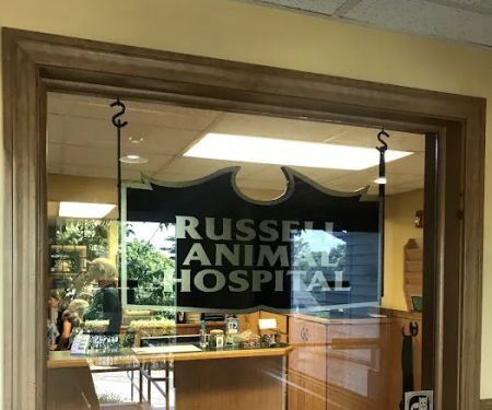 VCA Russell Animal Hospital