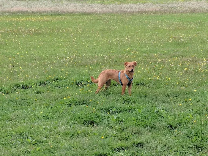 Cilley Veterinary Clinic Picture 10