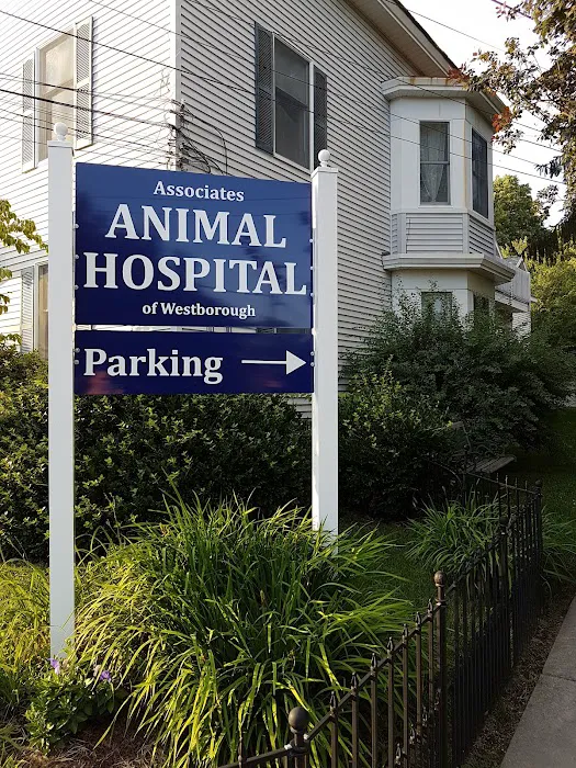 Associates Animal Hospital Picture 9