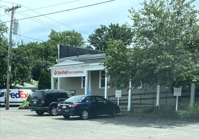 Banfield Pet Hospital Picture 3