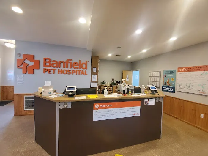 Banfield Pet Hospital Picture 2