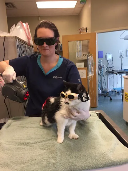 Millis Animal Hospital Picture 7