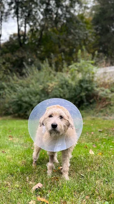 Family Pet Hospital Picture 2