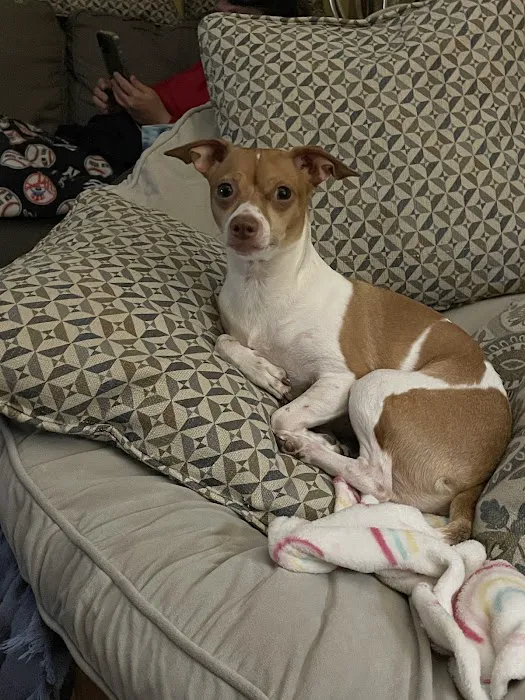 Family Pet Hospital Picture 1