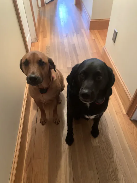 Family Pet Hospital Picture 7