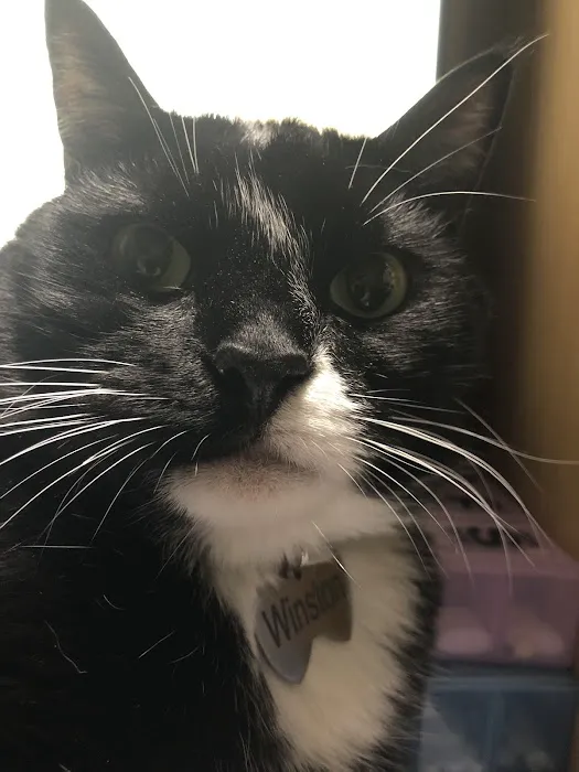 Franklin Veterinary Clinic Picture 8