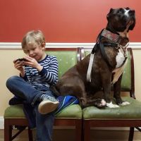 NorthPaws Veterinary Center ico