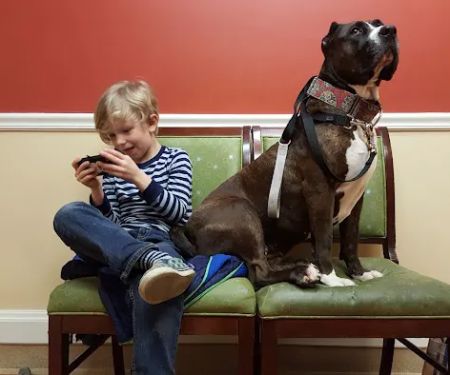 NorthPaws Veterinary Center