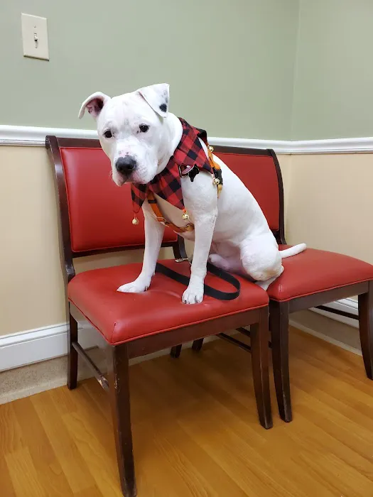 NorthPaws Veterinary Center Picture 2