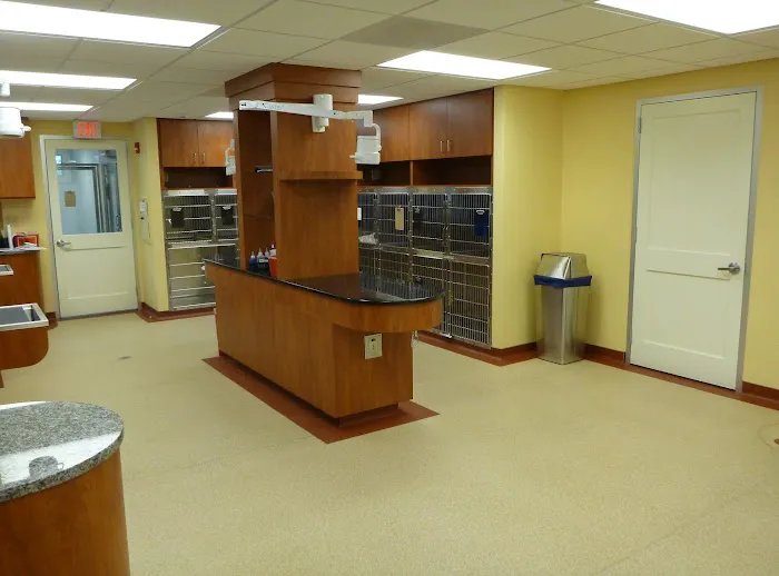 NorthPaws Veterinary Center Picture 6