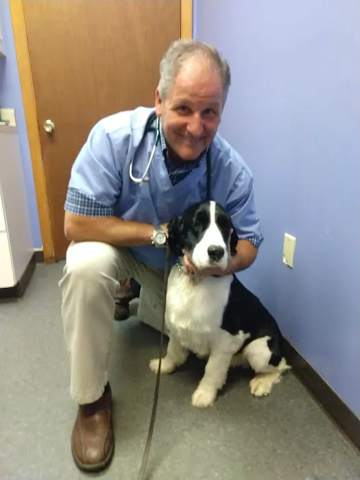 Countryside Veterinary Clinic: Olson Meredith DVM Picture 4