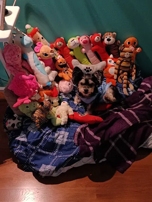 Banfield Pet Hospital Picture 2