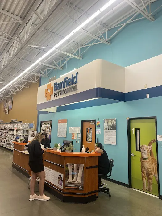 Banfield Pet Hospital Picture 9