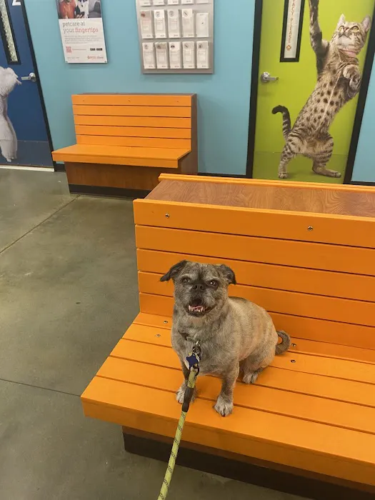 Banfield Pet Hospital Picture 8