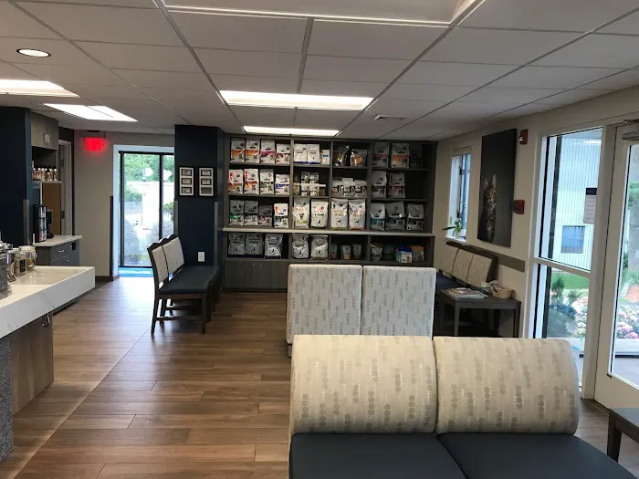 VCA Westboro Animal Hospital Picture 5