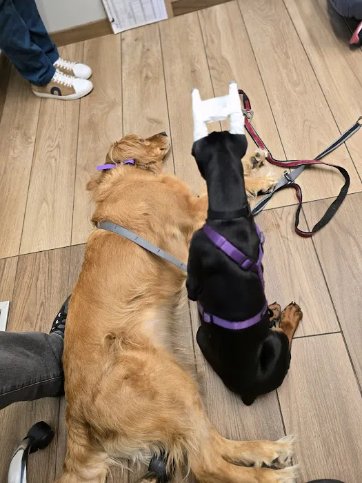 VCA Westboro Animal Hospital Picture 10