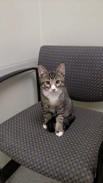 Healthy Paws Veterinary Center Picture 5