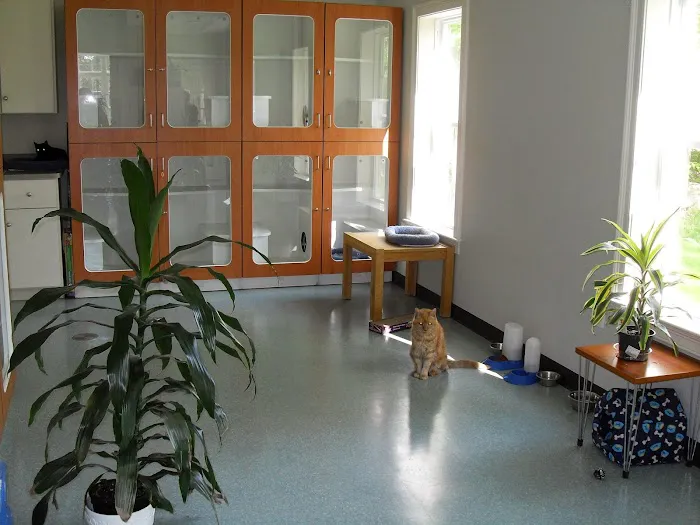 Healthy Paws Veterinary Center Picture 10