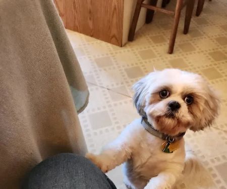 Ashland Animal Hospital