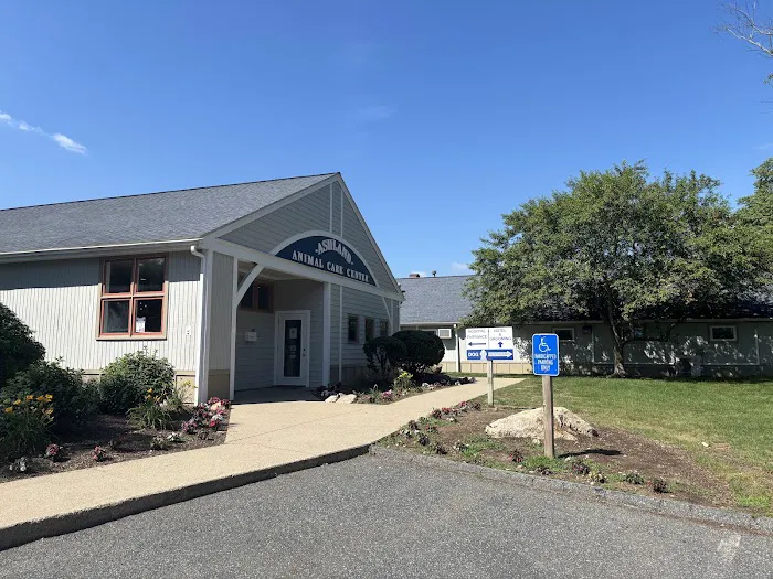 Ashland Animal Hospital Picture 6