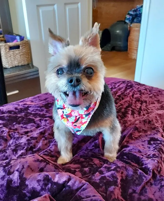 Ashland Animal Hospital Picture 7