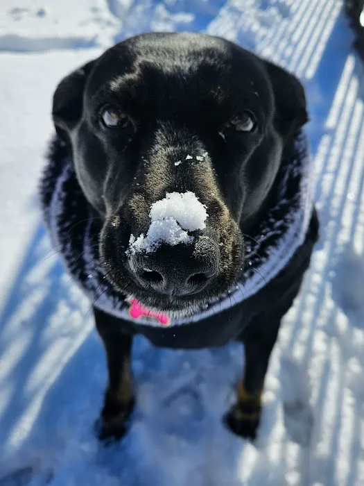 Sakonnet Veterinary Hospital Picture 9
