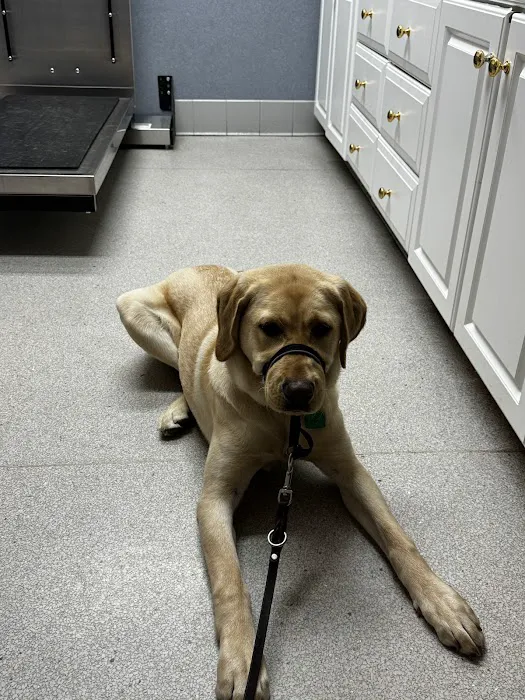 Acoaxet Veterinary Clinic Picture 6