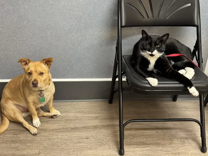 Acoaxet Veterinary Clinic Picture 4