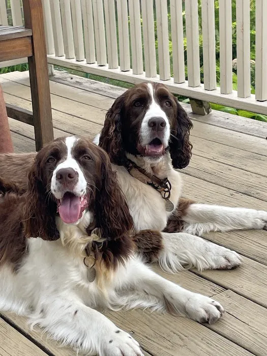 Abbott Animal Hospital Picture 2