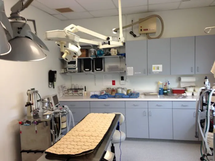 Bristol County Veterinary Hospital Picture 6