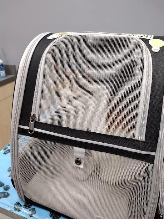 Vitality Veterinary of Swansea Picture 5