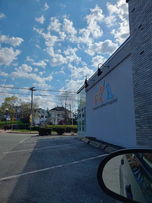 Ferguson Animal Hospital Picture 5