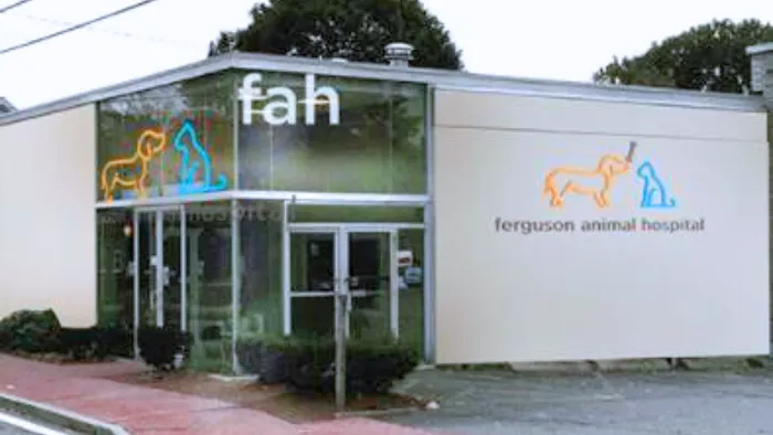 Ferguson Animal Hospital Picture 9