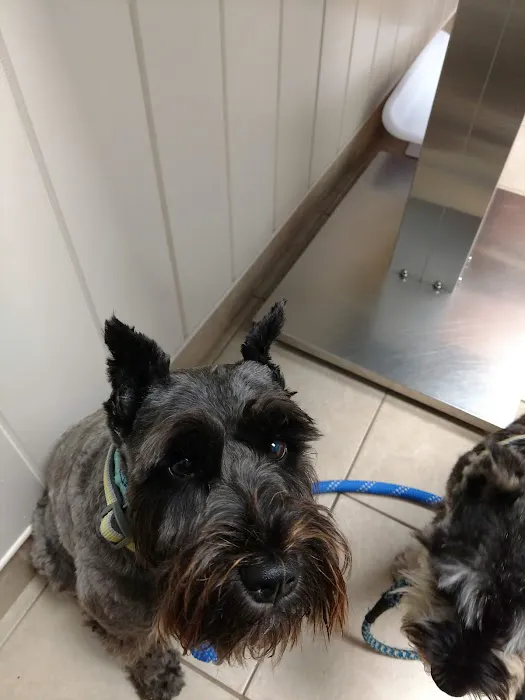 Scituate Animal Hospital Picture 2