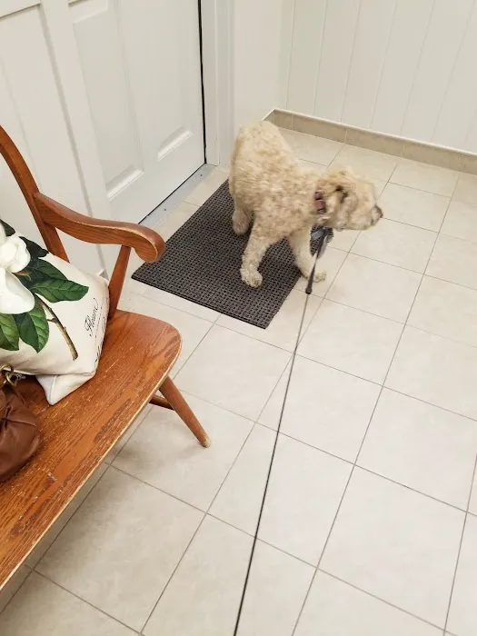 Scituate Animal Hospital Picture 8