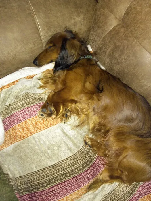 Scituate Animal Hospital Picture 4
