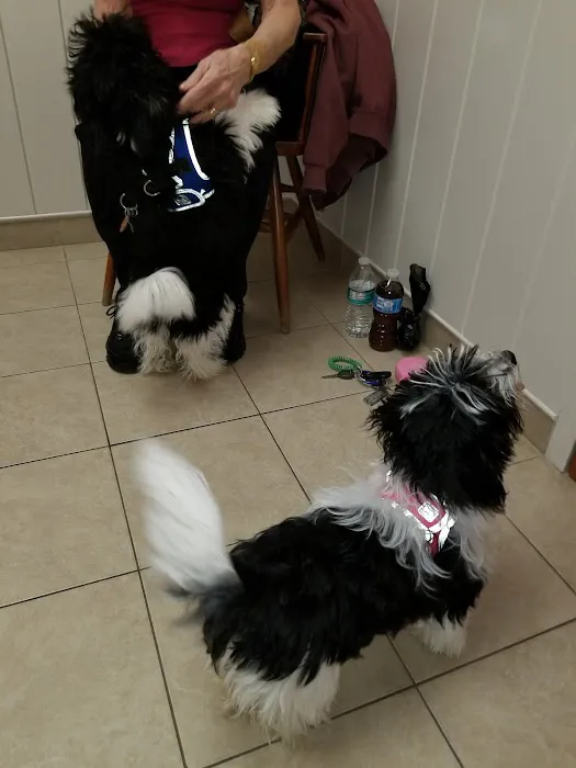 Scituate Animal Hospital Picture 3