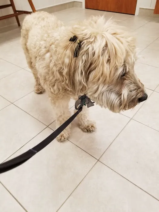 Scituate Animal Hospital Picture 10
