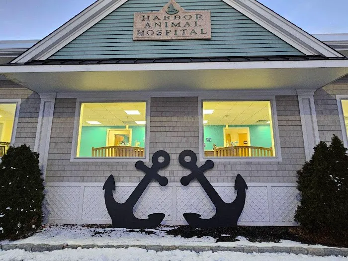 Harbor Animal Hospital Picture 1