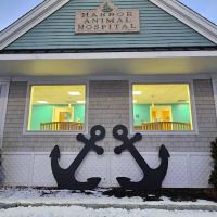 Harbor Animal Hospital ico