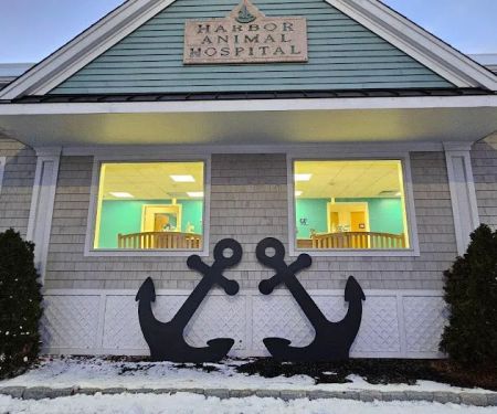 Harbor Animal Hospital